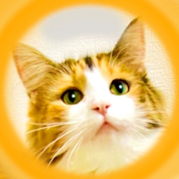 愛ちゃん